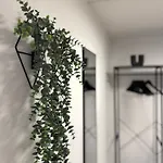 Moselgold Zeltingen-Rachtig