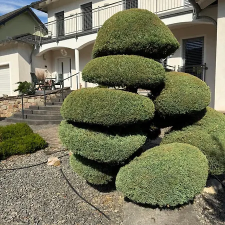 Moselgold Zeltingen-Rachtig