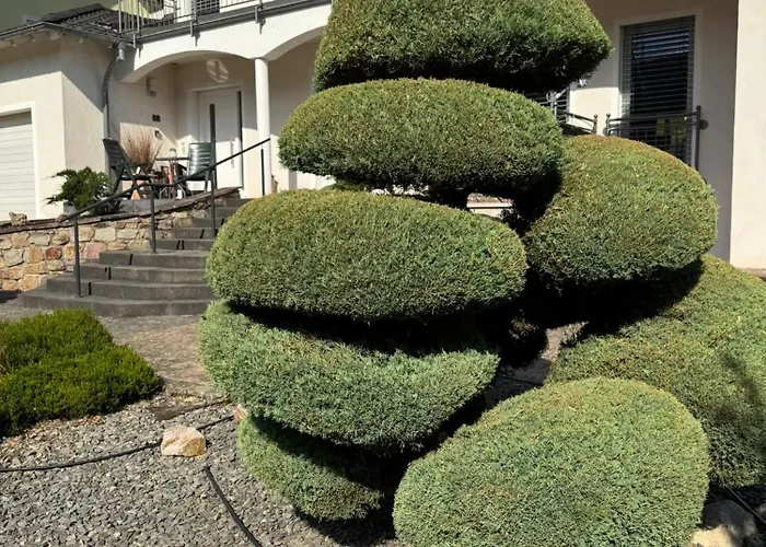 Moselgold Zeltingen-Rachtig